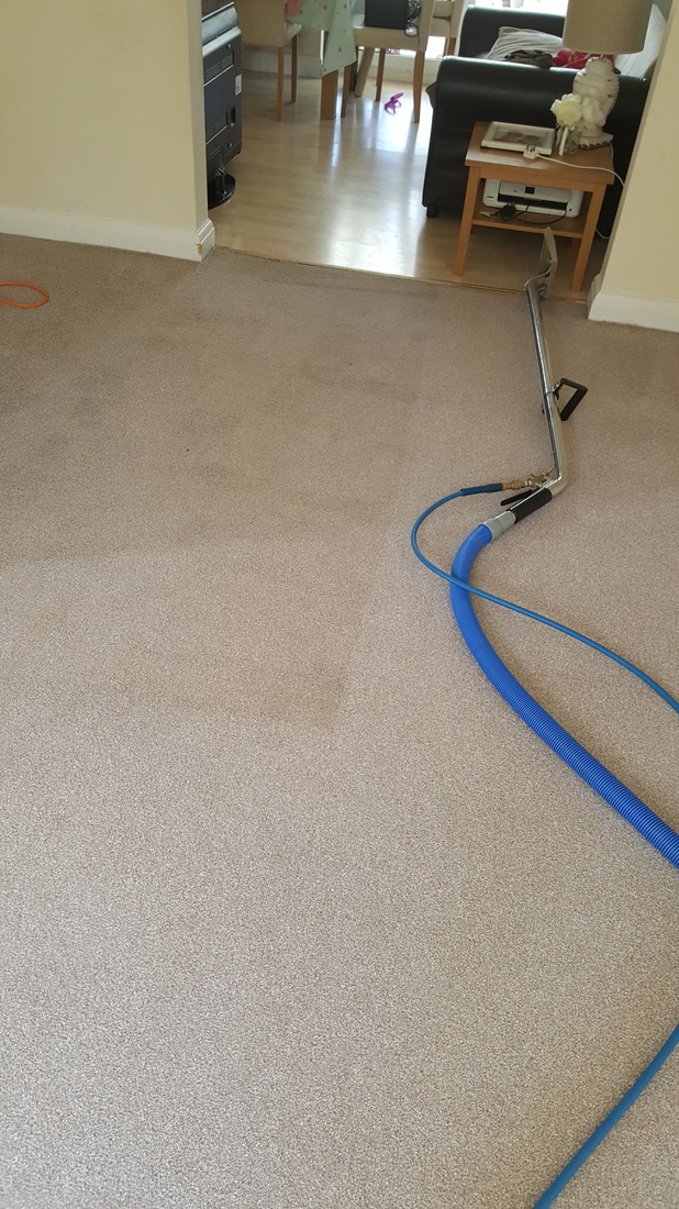 Lincoln carpet clean after.