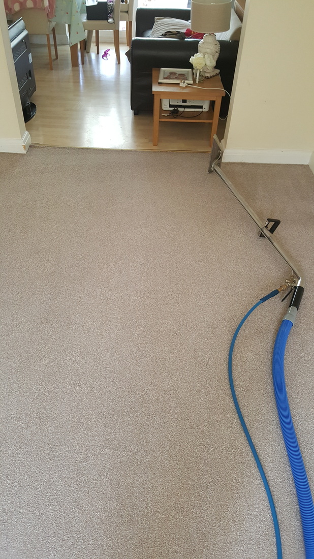 Carpet clean after in Lincoln home