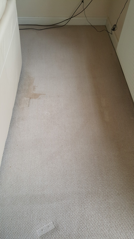 Stained carpet before cleaning